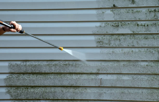 Best Garage Pressure Washing  in Mount Olive, MS