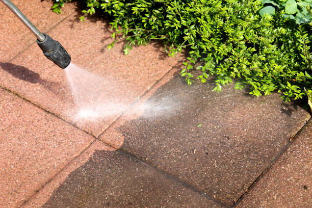 Best Affordable Pressure Washing  in Mount Olive, MS